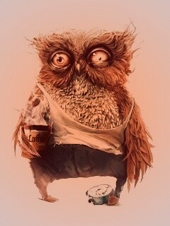 Не спящая сова обои