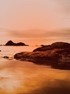 Золотое побережье обои