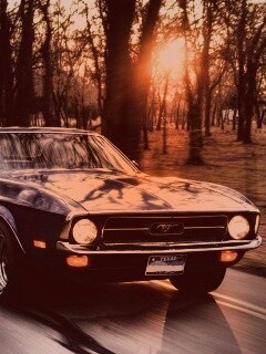 Мустанг обои