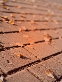 Тротуар обои