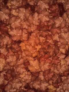 Осенние листья обои