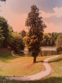 Прекрасная природа обои