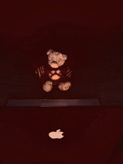 Плюшевый мишка за ноутбуком обои