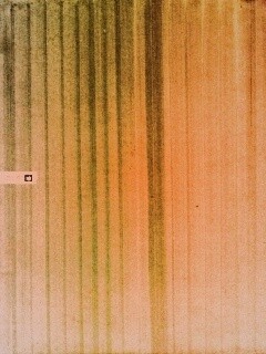 Обои для Apple обои