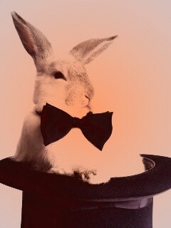 Кролик в цилиндре фокусника обои