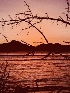 Тропический закат обои