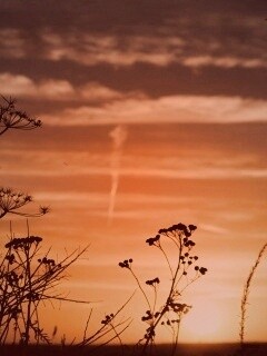 Степной закат обои