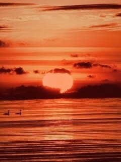 Великолепный рассвет обои