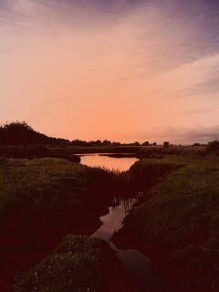 Канава и пруд обои