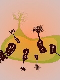 Деревья времен года обои