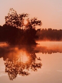 Туманное утро обои