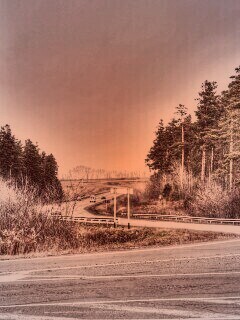 Дорога обои