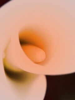 Спираль обои