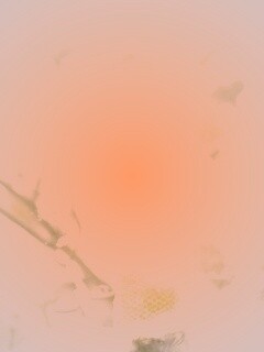 Летние цветы в лучах света обои