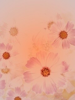 Цветочки обои