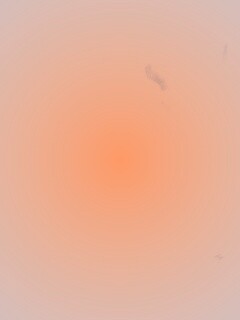 Белые лепестки обои