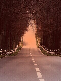 Дорога уходит ввысь обои