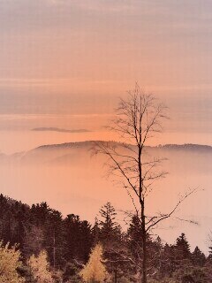 Холмы в тумане обои