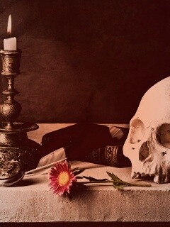 Проблеск в темноте обои