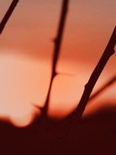 Закат солнца в поле обои