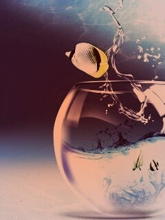 Аквариум с рыбками обои