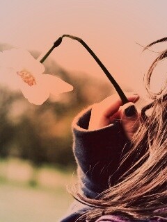 Девушка с нарциссом в руке обои