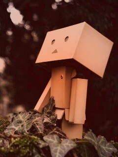 Danbo смотрит вверх обои