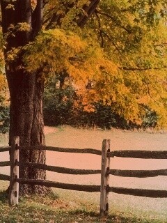 Ранняя осень обои