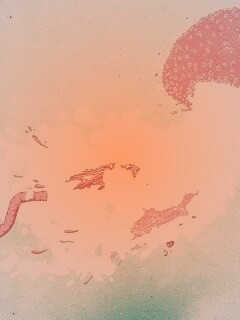 Розовая медуза обои