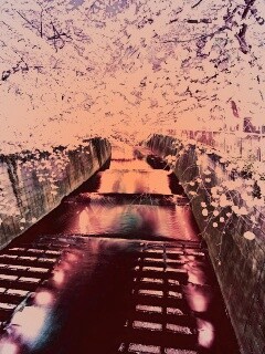 Река и цветение сакуры обои