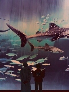 Двое в океанариуме обои