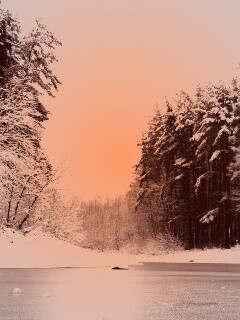 Зимняя дорога обои