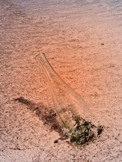 Бутылка в песке у воды обои