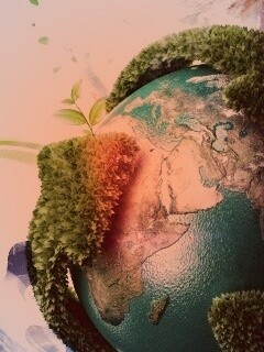 Что за чудесный мир обои