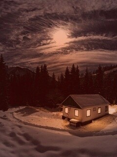 Один в зимнем лесу обои