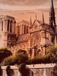 Собор парижской Богоматери обои