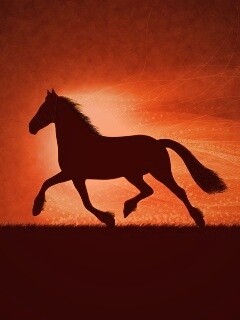 Силует коня на закате обои
