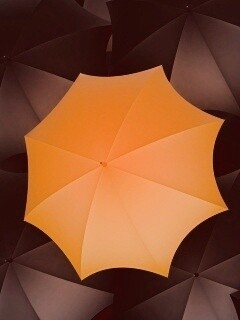 Жёлтый среди чёрных обои