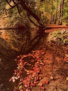 Пейзаж обои