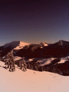 Лес в горах обои