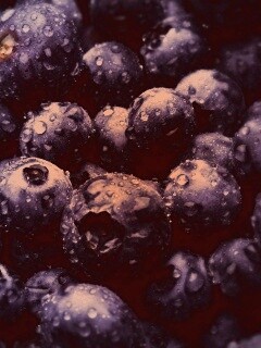 Свежая черника обои