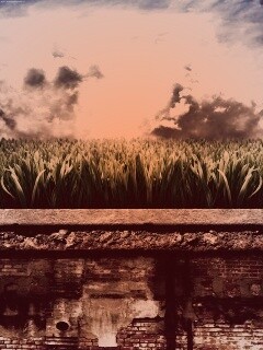 По другю сторону обои