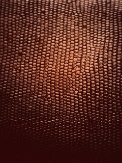 Чешуйчатые обои обои