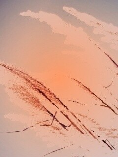 Солнце играет на степном ковыле обои