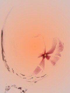 Нежный цветок в бокале на фоне голубого неба обои