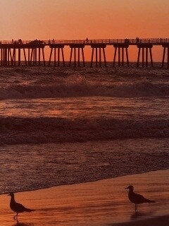 Морская терасса обои