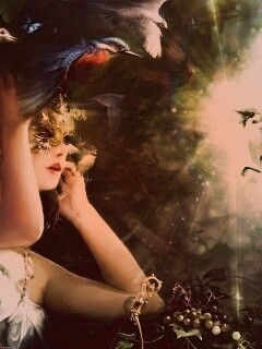 Птицы счастья обои