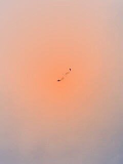 Полет  обои