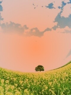 Искаженный мир обои