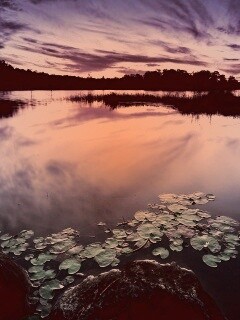 Озеро поздним вечером обои